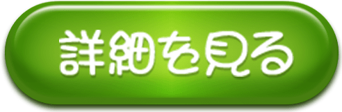 詳細を見る