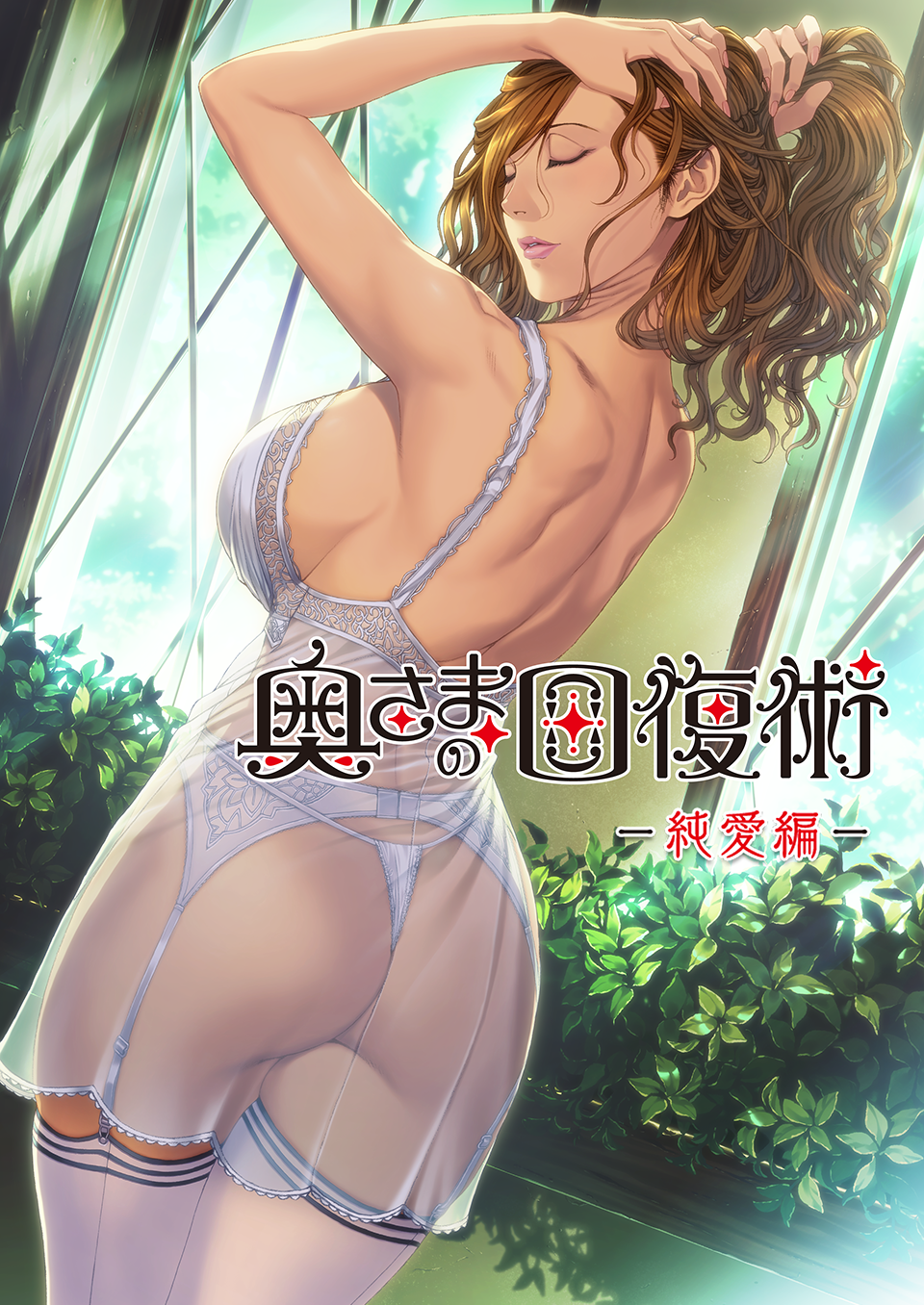 奥さまの回復術 the animation