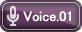 voice01